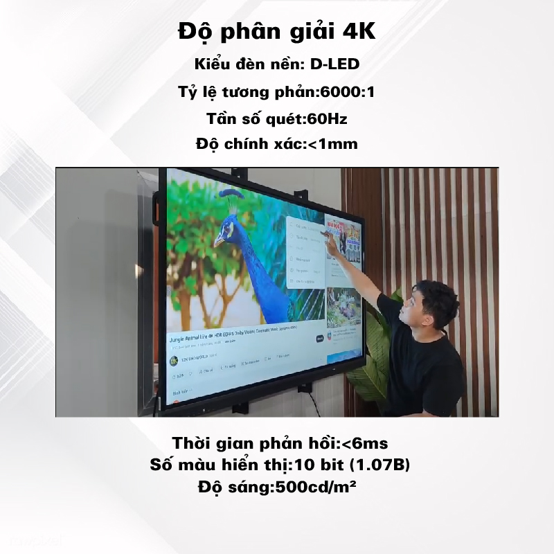 Màn hình tương tác thông minh TEAMIE 86inch